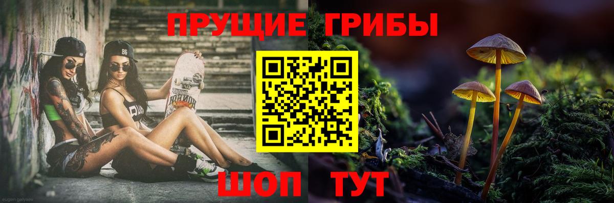 Псилоцибиновые грибы мицелий Фролово