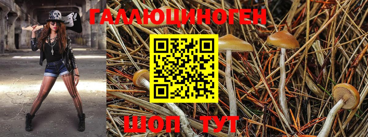 Фролово  Галлюциногенные грибы ЛСД  Вход с VPN 